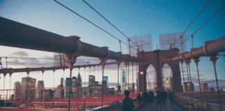 Ultimate Guide to Vienna’s Coffee Renaissance