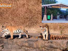 Unseen Bundelkhand: A Complete Guide to the Best Outdoor Adventures