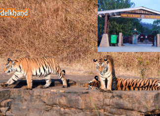 Panna National Park: A Jungle Safari with a Twist in Bundelkhand Unseen Bundelkhand: A Complete Guide to the Best Outdoor Adventures