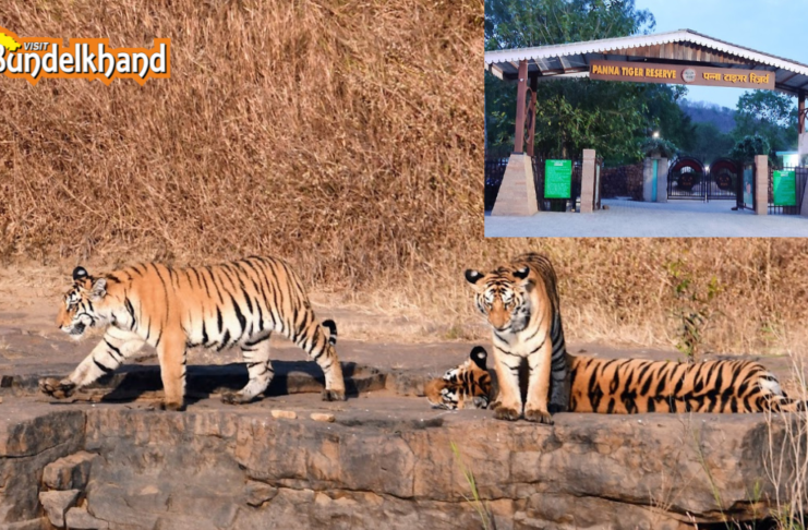 Unseen Bundelkhand: A Complete Guide to the Best Outdoor Adventures